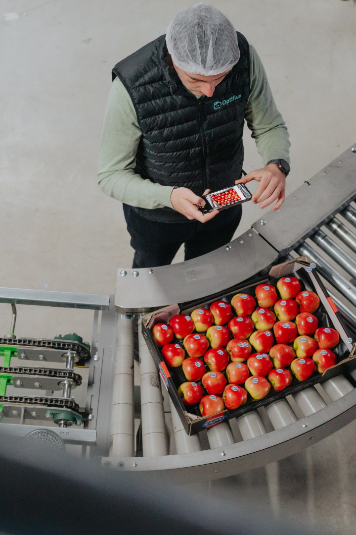 Medewerker van Optiflux voert visuele kwaliteitscontrole uit op een kist appels met behulp van een smartphone en AI-beeldanalyse aan een sorteerlijn.