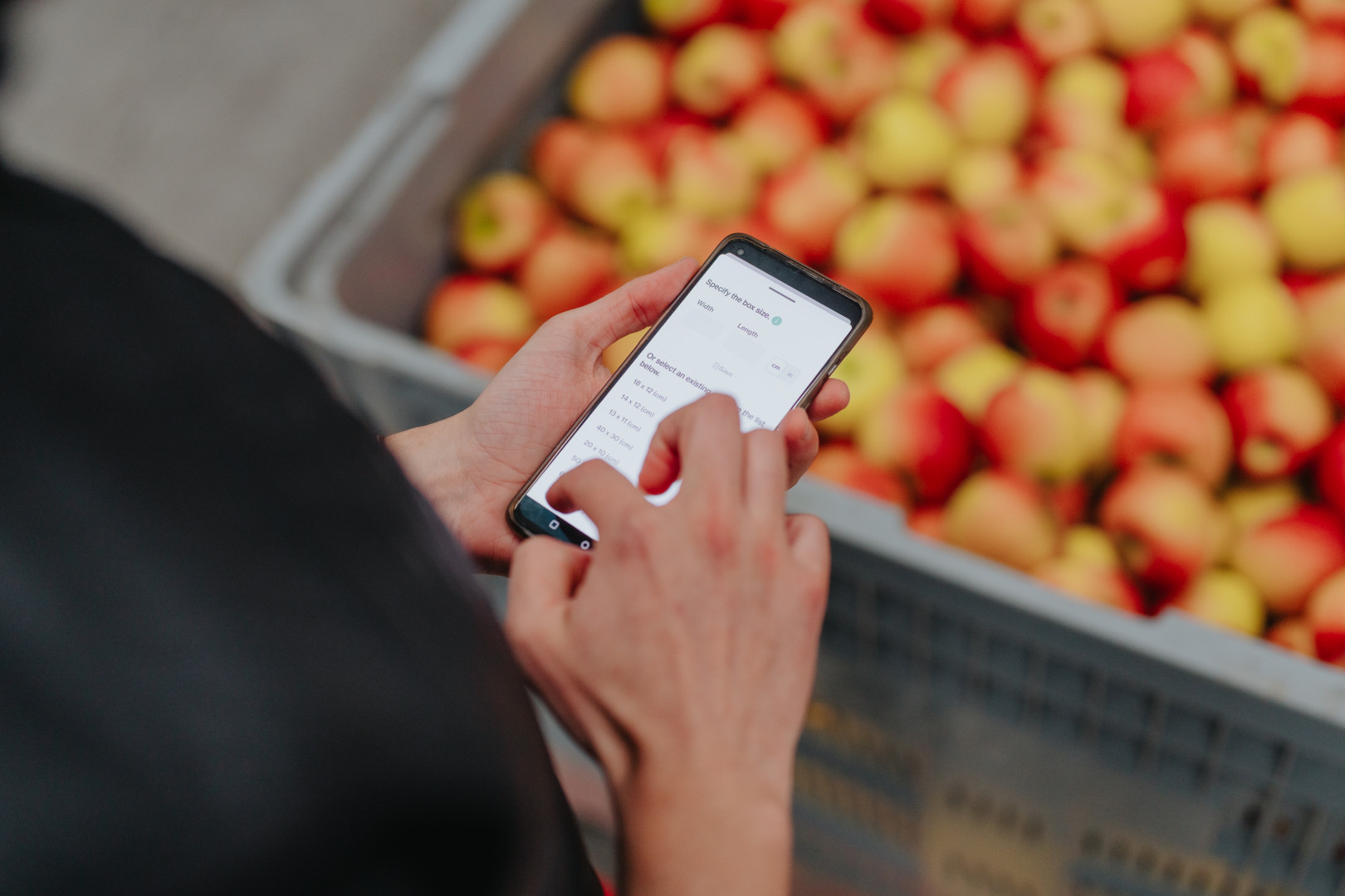 Kwaliteitsdata van appels invoeren via Optiflux-app Persoon bedient een smartphone met Optiflux-app voor het registreren van gegevens van een partij appels in een plastic bewaarcontainer.
